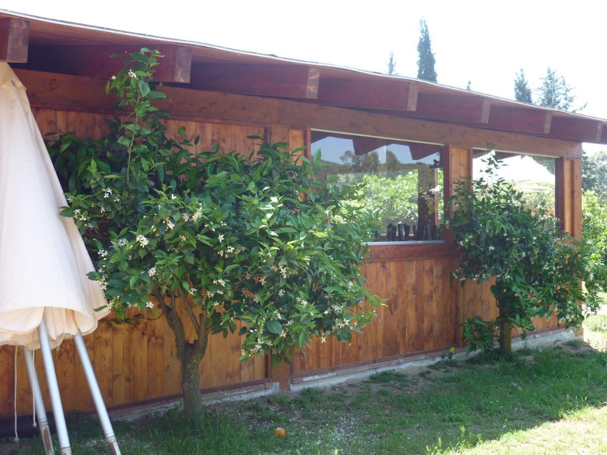 Il Frutteto Bed & Breakfast Torre delle Stelle Exterior foto